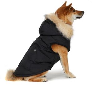 Pajar Pup Barnard Dog Coat